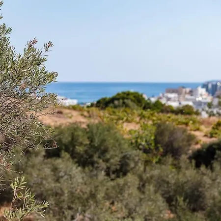 Ikon Living Chania *